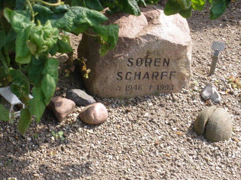 Soeren Scharff.JPG